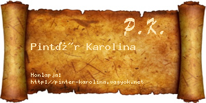 Pintér Karolina névjegykártya