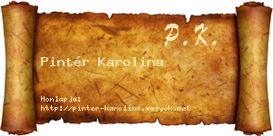 Pintér Karolina névjegykártya